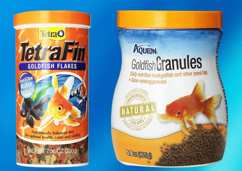 Can Betta Fish Eat Goldfish Food? (Is it Safe?) | Fish Parlor