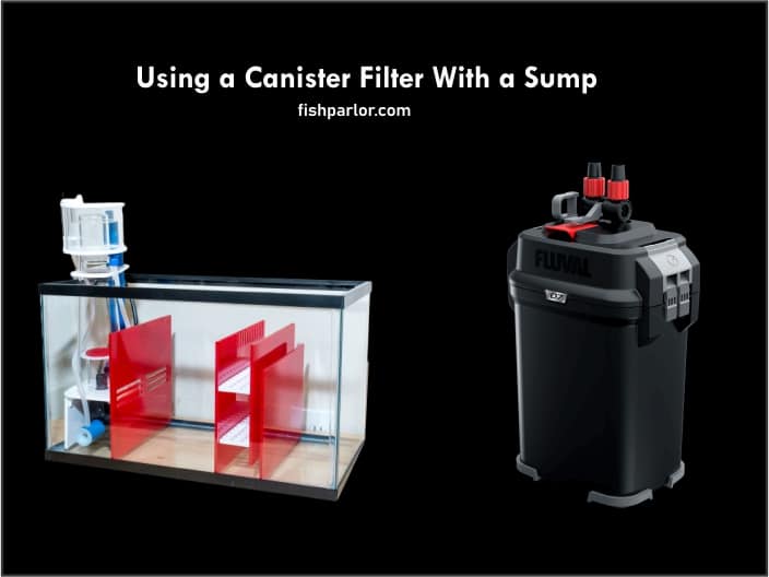 A Canister Filter and a Sump